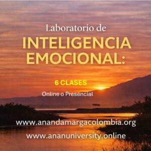 Laboratorio de Inteligencia Emocional: la clave del equilibrio profesional y personal